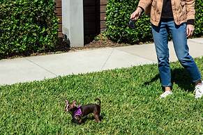 Aloft Orlando International Drive