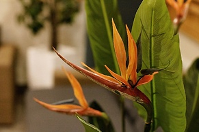 227 City View Hollywood Beach