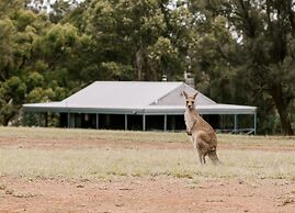 Palmers Lane Estate Hunter Valley