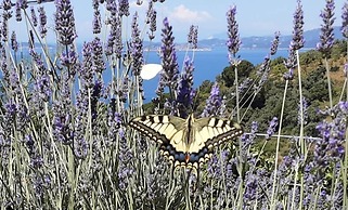 Paradise Found - A Greek Retreat With The View