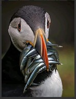 Stunning Tory Island Apartment
