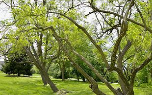 The Tilghman Island Inn