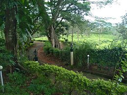 Standard Double Room-wayanad