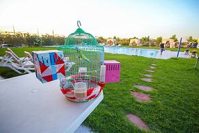 Luxurious Apartment Fully Equiped