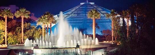 B&B HOTEL Nice Aéroport