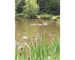 Hollicarrs - Woodland Lodge