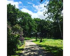 Hollicarrs - Woodland Lodge