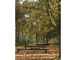 Hollicarrs - Woodland Lodge