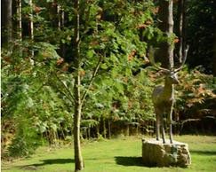 Hollicarrs - Woodland Lodge