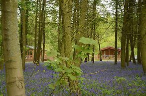 Hollicarrs - Woodland Lodge