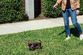 Element Orlando International Drive