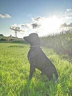 Tumbling Tom - Double and Two Singles