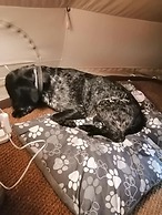 Tumbling Tom - Double and Two Singles