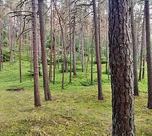 Holiday House Bursztyn by Renters