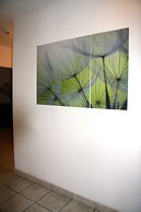 Appartements Fürstalm Alpendorf