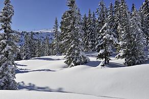 Appartements Fürstalm Alpendorf