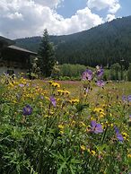 Appartements Fürstalm Alpendorf