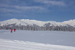 Appartements Fürstalm Alpendorf