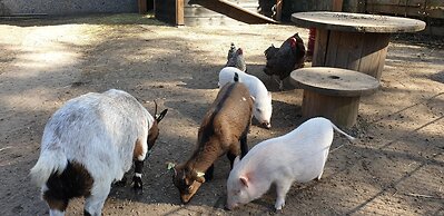 Vakantiepark De Bosrand