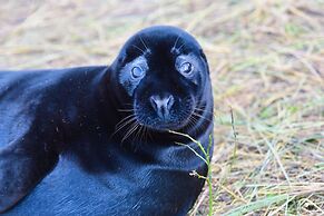 2-bed 18th Century Barn - Sleeps 6 - Pet Friendly