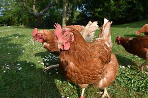 2-bed 18th Century Barn - Sleeps 6 - Pet Friendly