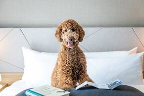 Residence Inn Slough