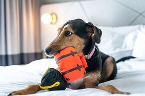 Residence Inn Slough