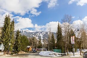 Fabulous Location Private Hot Tub, NO Car Needed, Sleeps 8