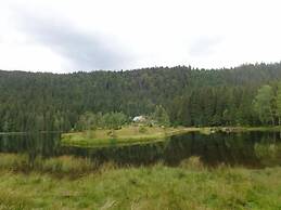 Almhotel Pinter Superior