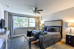 Chic Collection by NOHOTEL on PTree RD