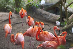 JW Marriott Tampa Water Street