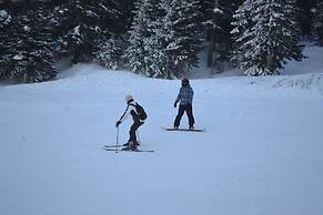 Oksijen Zone Hotels Uludag