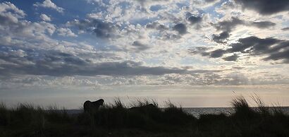 Home From Home Caravan in Lowestoft