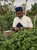 Patina Maldives, Fari Islands