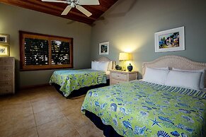 The Caribbean Resort Canary Island Palm North