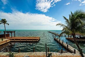 The Caribbean Resort Coconut Palm North
