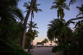 The Caribbean Resort Fish Tail Palm
