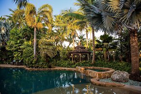 The Caribbean Resort Fish Tail Palm