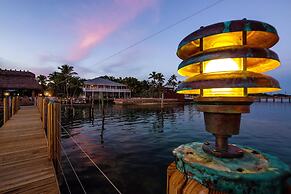 The Caribbean Resort Fish Tail Palm