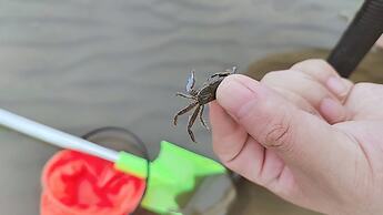 Holiday Inn Shanghai Dishui Lake by IHG