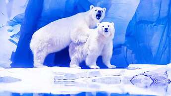 Holiday Inn Shanghai Dishui Lake by IHG