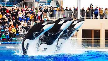 Holiday Inn Shanghai Dishui Lake by IHG