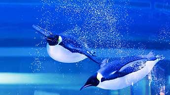 Holiday Inn Shanghai Dishui Lake by IHG