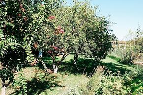 Beautiful Village Bungalow