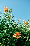 Beautiful Village Bungalow