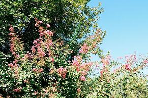 Beautiful Village Bungalow