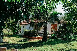 Beautiful Village Bungalow