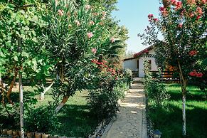 Beautiful Village Bungalow