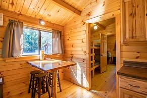 Wilderness Presidential By Tripforth