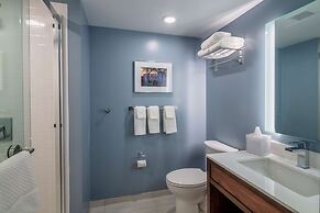 Scholar State College, Tapestry Collection by Hilton